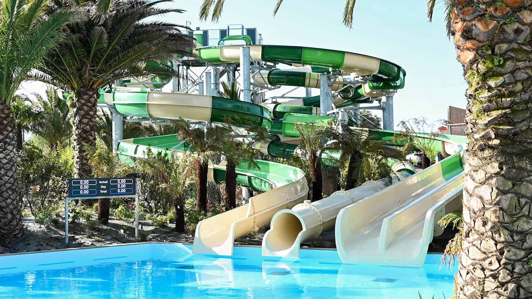 les mouettes photosclient sbo